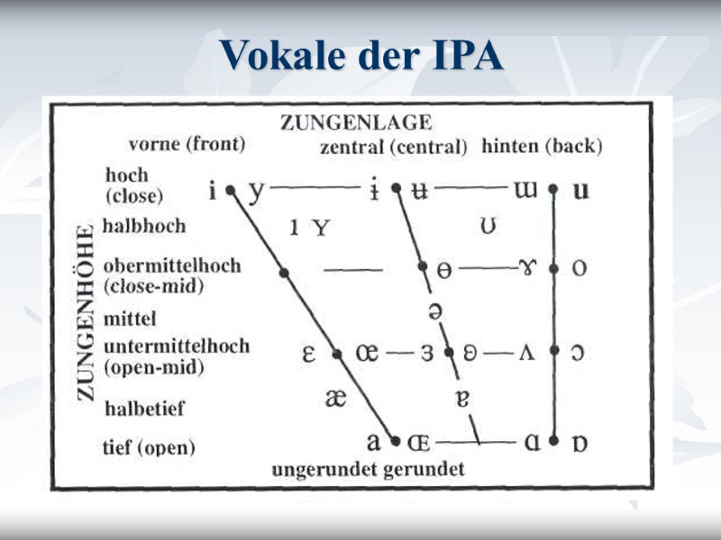 Vokale der IPA